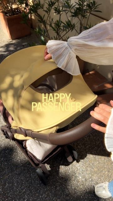 Коляска Anex Air-Q