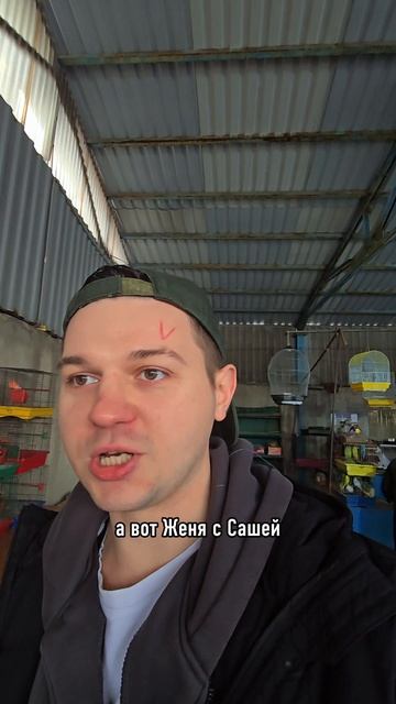 Как выглядит рынок в Донецке ?