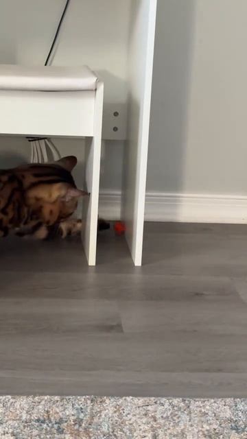 когда сам себе находишь проблему