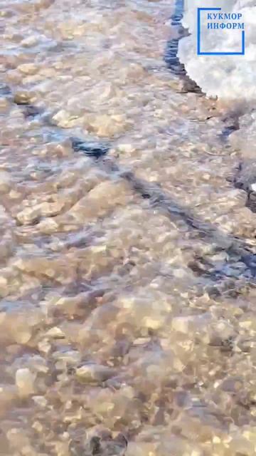 🌿 Последний штрих уходящей весны: природа говорит «до свидания»