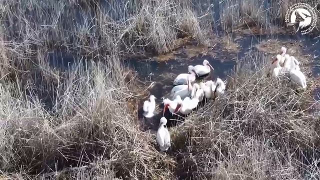 VID_20260416_144559_130.mp4