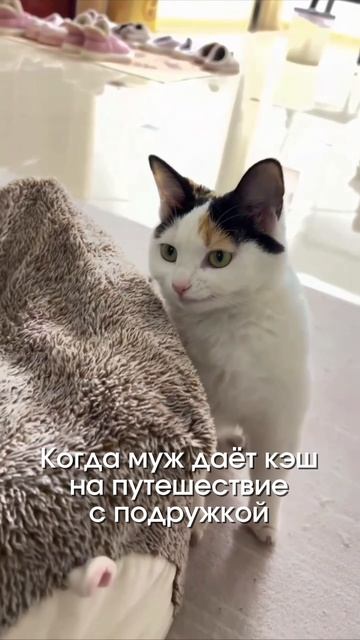 Девочки отмечаем своих золотых мужей или намекаем😁😉