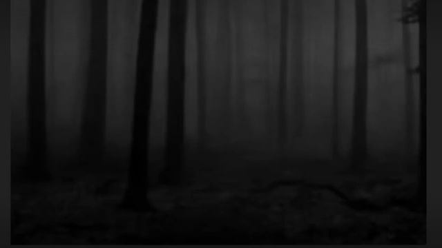 3d1c52548cda2e659e781fdd97b30434