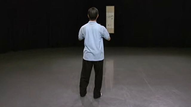 Тайцзи при артрите. часть 2. Поль Лам