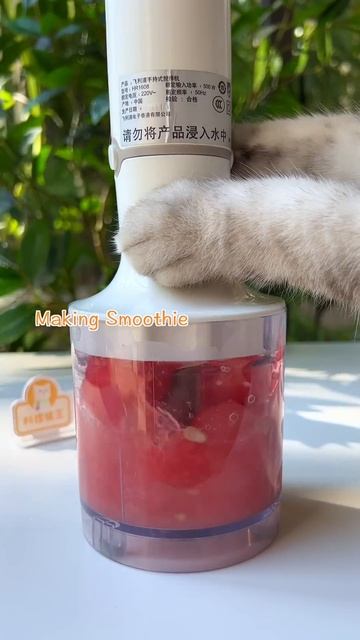 😍Cat Makes Watermelon Juice With Tapioca Pearls 😏😏 ｜ Chef Cat Cooking TikTok #Shorts