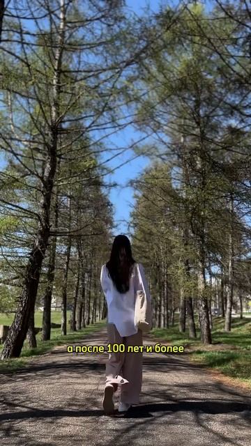 ТОП-10 покупок с Ozon и WB для осознанных людей. Арты в закрепленном комментарии✔️