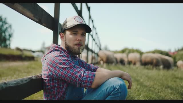 DJ Сиречь Пегая лошадка