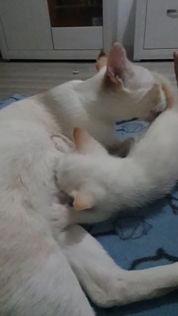 Малыш и мама