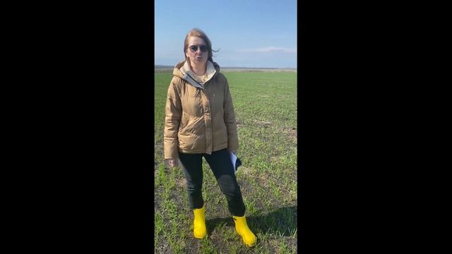 Фитомониторинг на мышевидных вредителей в Пензенской области