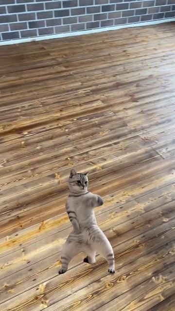 Терраса #паркет