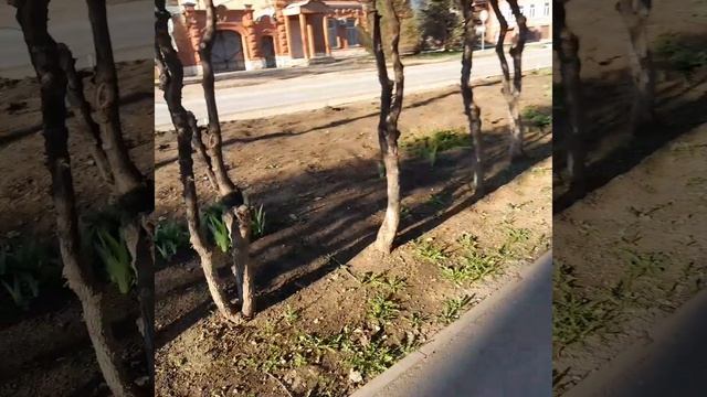 ВОТ ТАКАЯ ОБСТАНОВКА💥💥💥