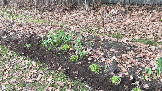 Как сохранить дружбу с соседями.