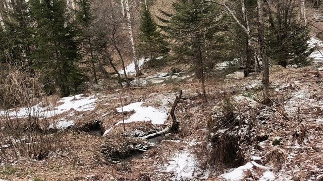 БЕЛОКУРИХА, МАЛЕНЬКИЙ РУЧЕЙ