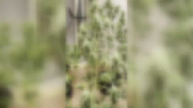 Криминал недели в программе «По горячим следам», выпуск 16 апреля