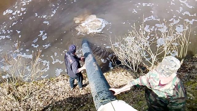 Зарыбление карпа в 5-й водоём РК 