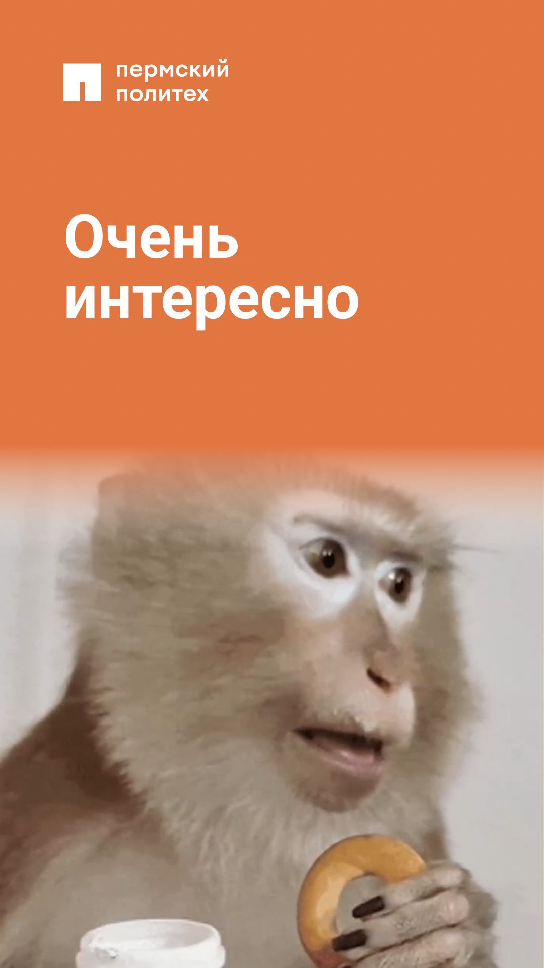 Сколько всего успело произойти