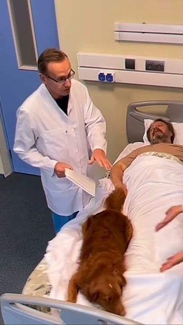 VID_20260417_132417_966.mp4