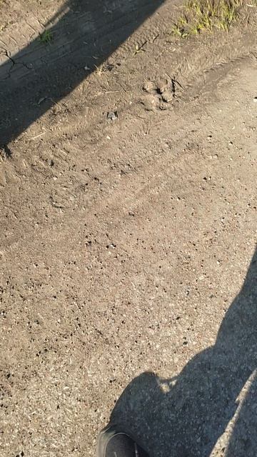 Как я иду со школы