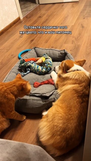 Я начну:  Теперь вы, пишите в комментариях!