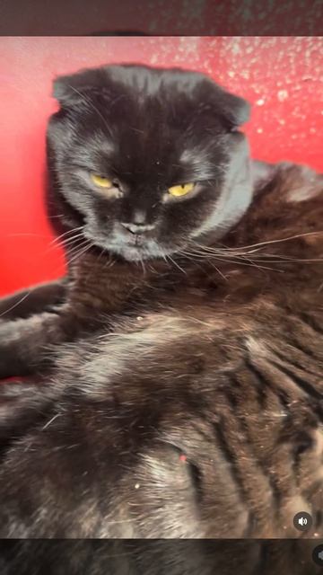 Кому сейчас легко ?)