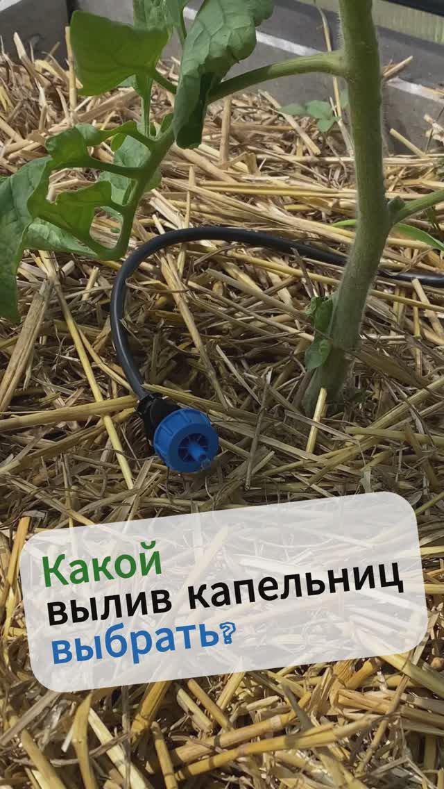 Какой вылив капельниц выбрать?