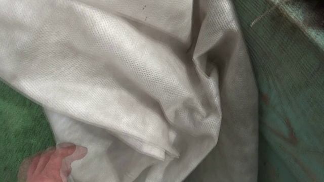 Как я делаю ТОННЕЛИ для томатов, высаженных в открытый грунт в ранние сроки. 15 апреля 2025.