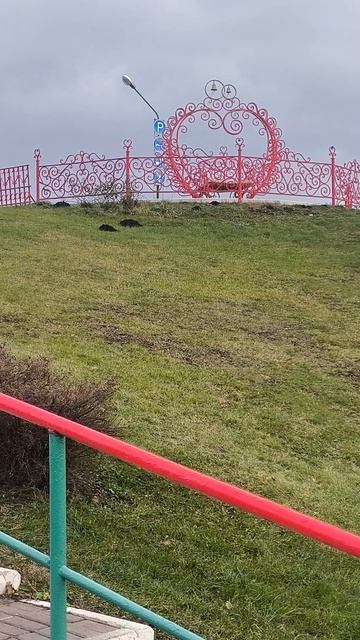 комплекс коргазак.