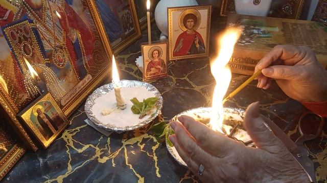 Чистка  . СЕРДЕЧНО - СОСУДИСТОЙ  СИСТЕМЫ.