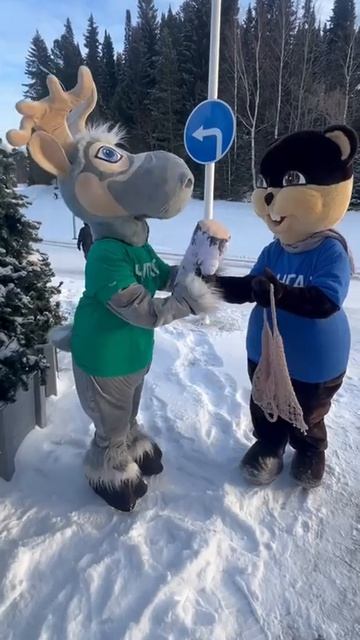 Наши лесные друзья — бобр Лангал и олень Чугас — рады поздравить вас с наступлением зимы!