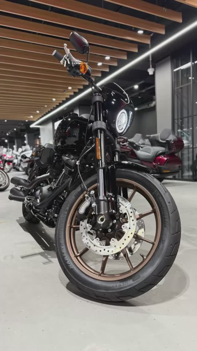 Harley-Davidson Low Rider (2023) VIN: 5HD1YWZ52PS047325