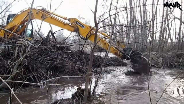 Бобры не ожидали, что мы доберемся до этой плотины.
