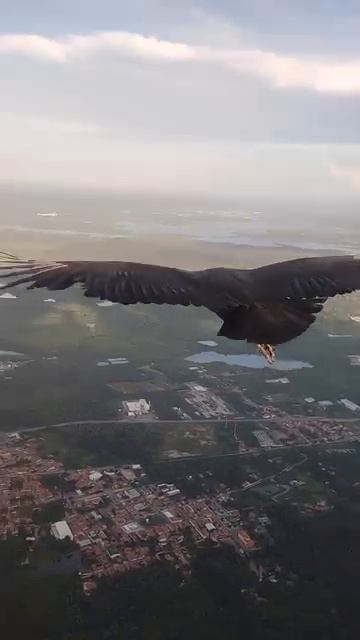 VID_20260417_132314_811.mp4