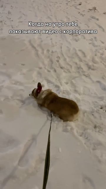 У кого также, пишите в комментариях свои истории