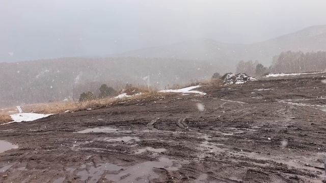 БЕЛОКУРИХА 2. СТУЛ