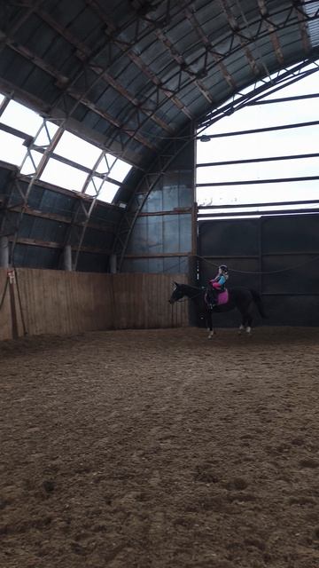 Аня и Флейта, галоп по стенке в манеже.