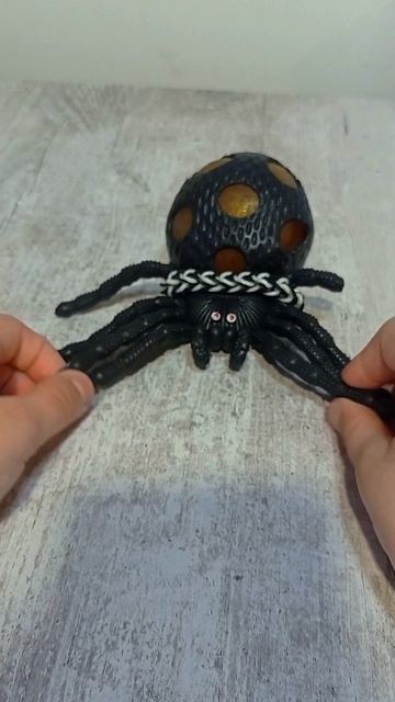 паучок Жора