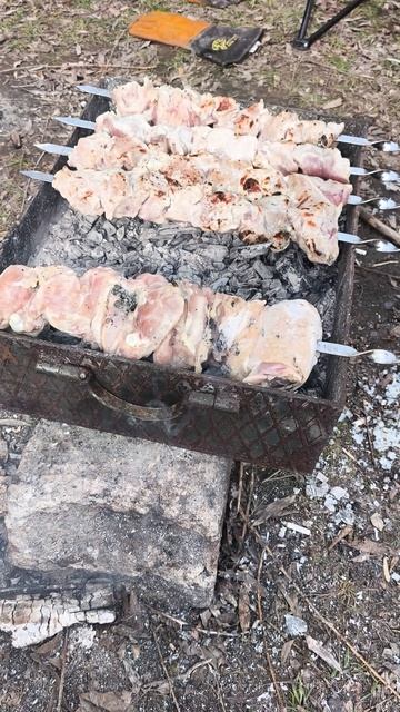 Готовим вкусный шашлык