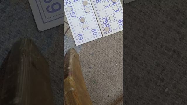 играем в лото