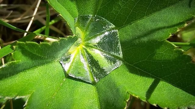 П. Беранже. Добрая фея