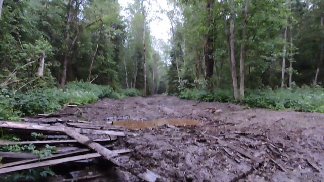 DSCN7677Лает лисица.