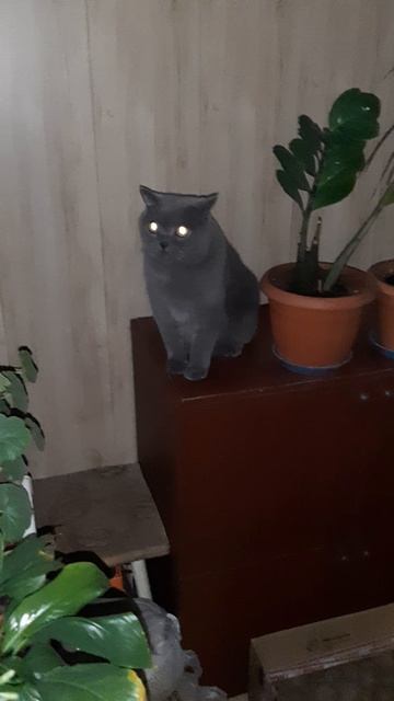 На меня напала грусть.