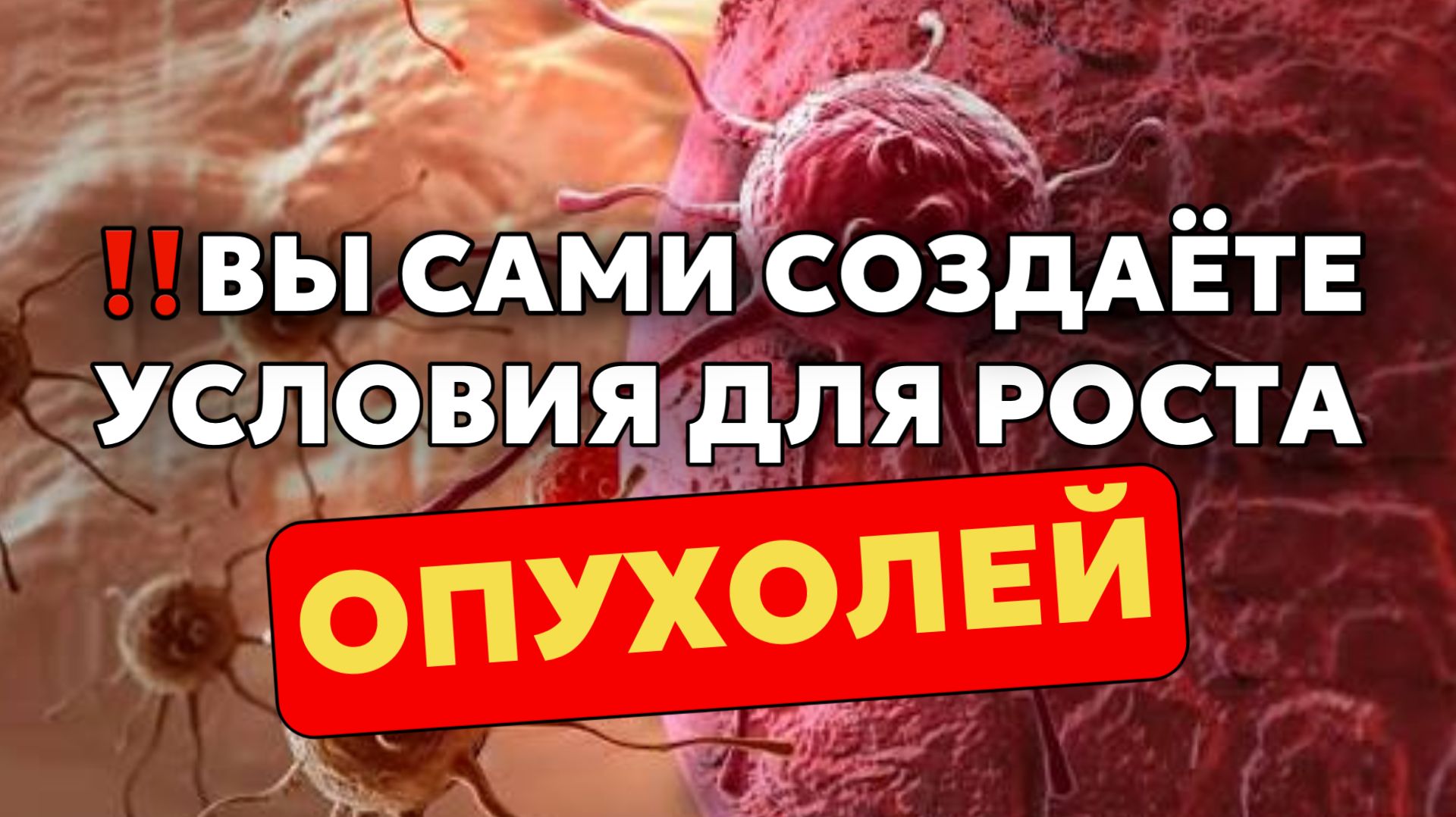 ‼️Вы сами создаёте условия для роста опухолей