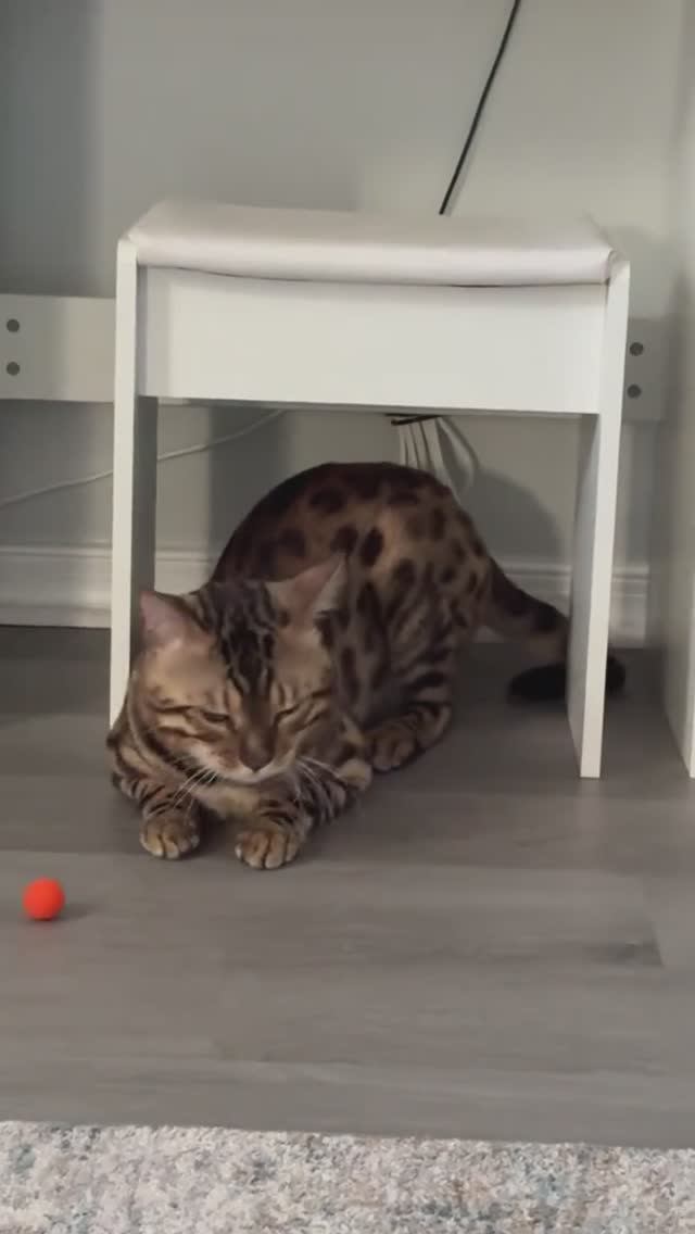 когда сам себе находишь проблему