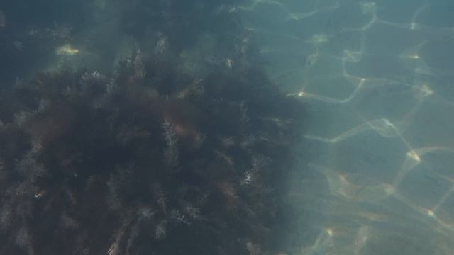 Анапа Сегодня 17.04.2026