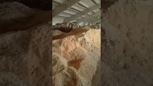 Оборудование для производства топливных пеллет