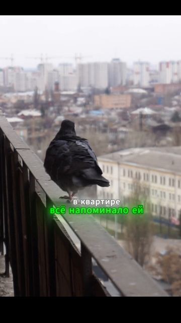 Аудиорассказ: Сын продал квартиру матери и выгнал её на улицу… Но наследство всё изменило