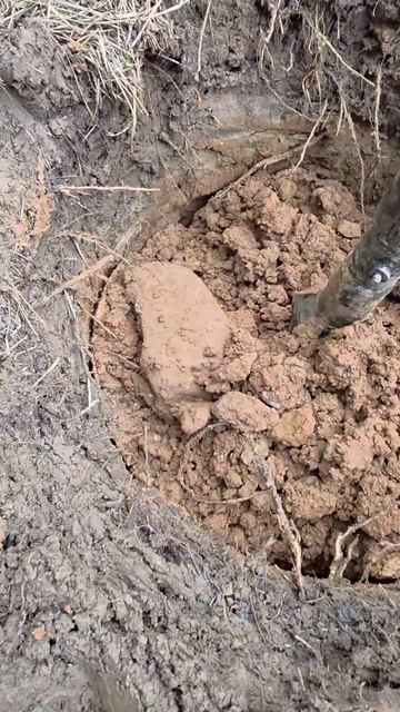 Колодец в Дмитровском районе