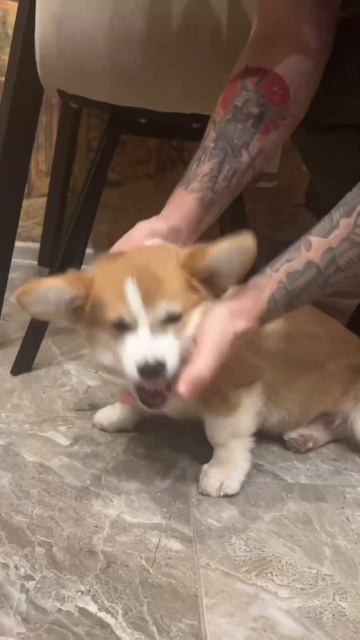 Зато квартира цела. Считаю, это уже успех