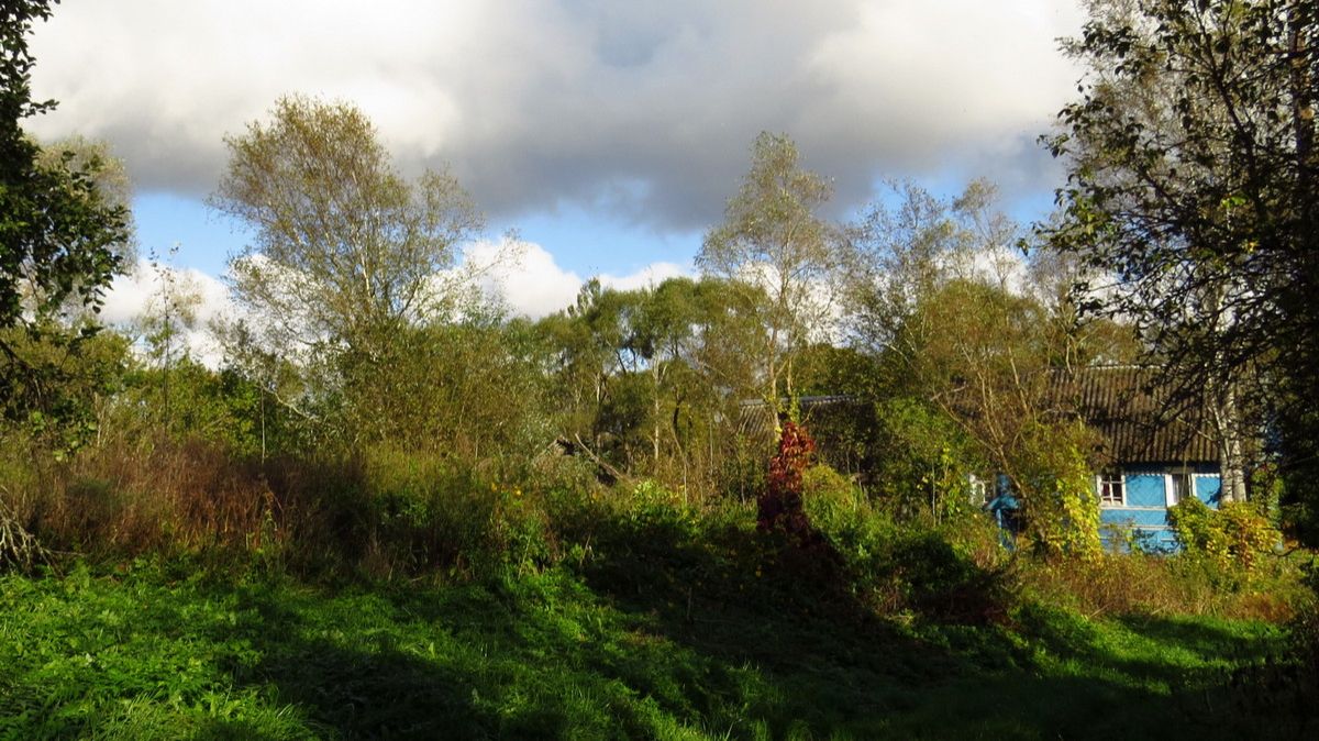 Заростающая деревня...