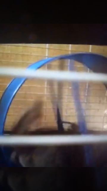 7219084755161aaa3961e9ac0771be26.mp4 480p.mp4